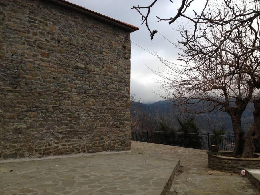 Villa Δάφνη 1933, Λιθόχτιστο Αρχοντικό Στο Βουνό à Ano Chora Extérieur photo